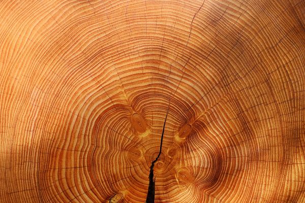 Alternatywa dla naturalnego drewna: nowoczesne rozwiązania